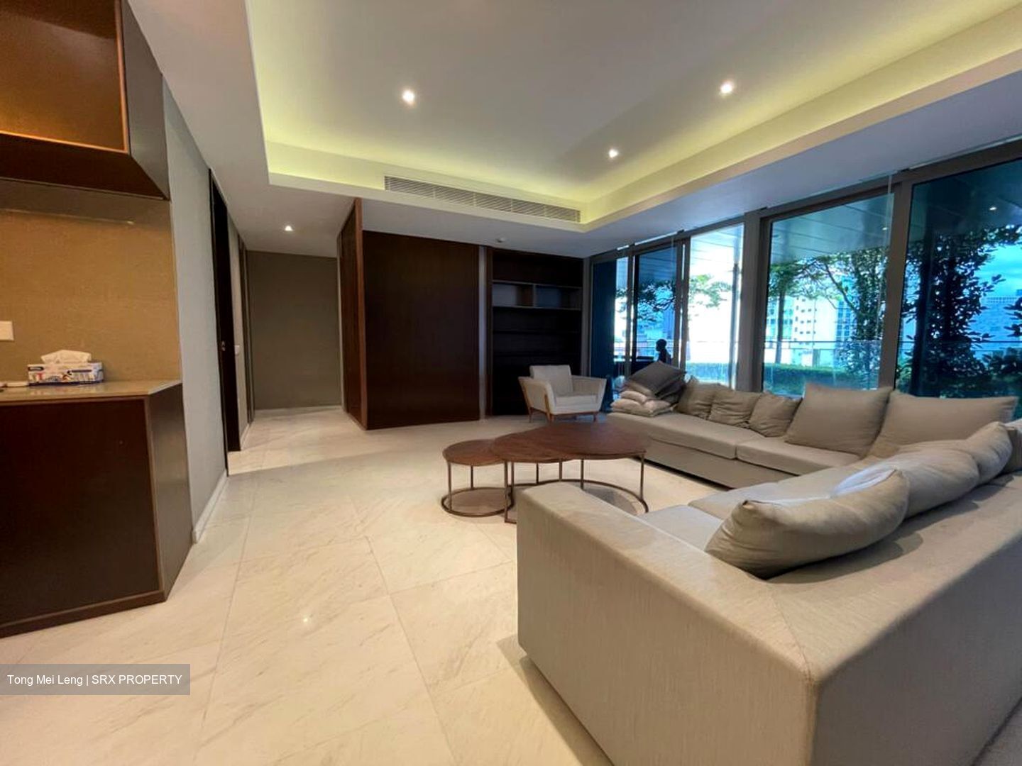 Cairnhill Nine (D9), Apartment #456050701